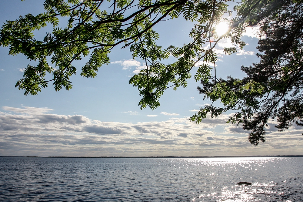Järvimaisema